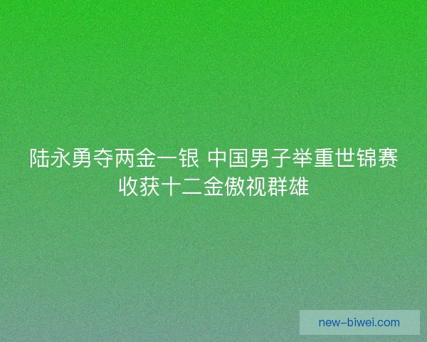 陆永勇夺两金一银 中国男子举重世锦赛收获十二金傲视群雄